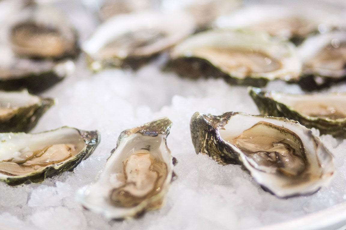 "Mother Shucker" aka Traveling Oyster Bar